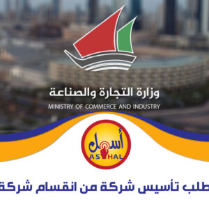 طلب تأسيس شركة من انقسام شركة
