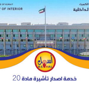 خدمة صدار تأشيرة مادة 20